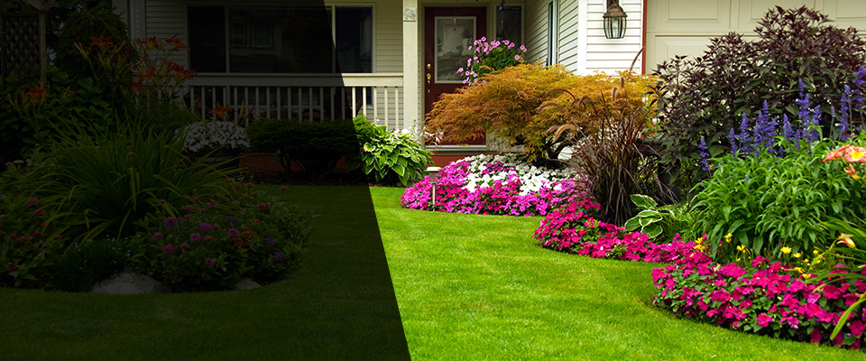Castroville Landscapers