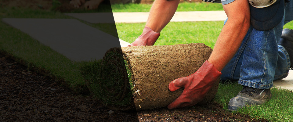 Castroville Landscapers